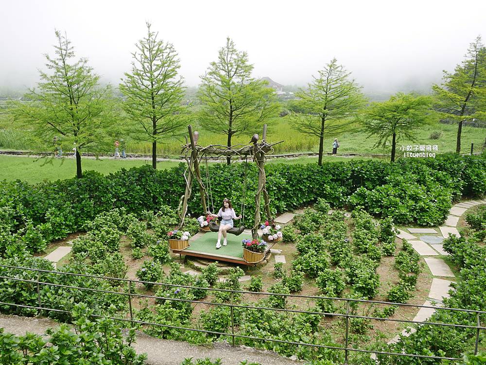 陽明山竹子湖「名陽匍休閒農莊」海芋紅楓繡球花小油坑，超夢幻的賞花基地