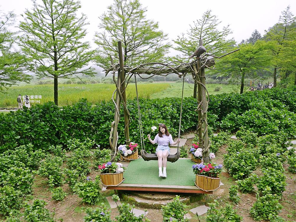 陽明山竹子湖「名陽匍休閒農莊」海芋紅楓繡球花小油坑，超夢幻的賞花基地