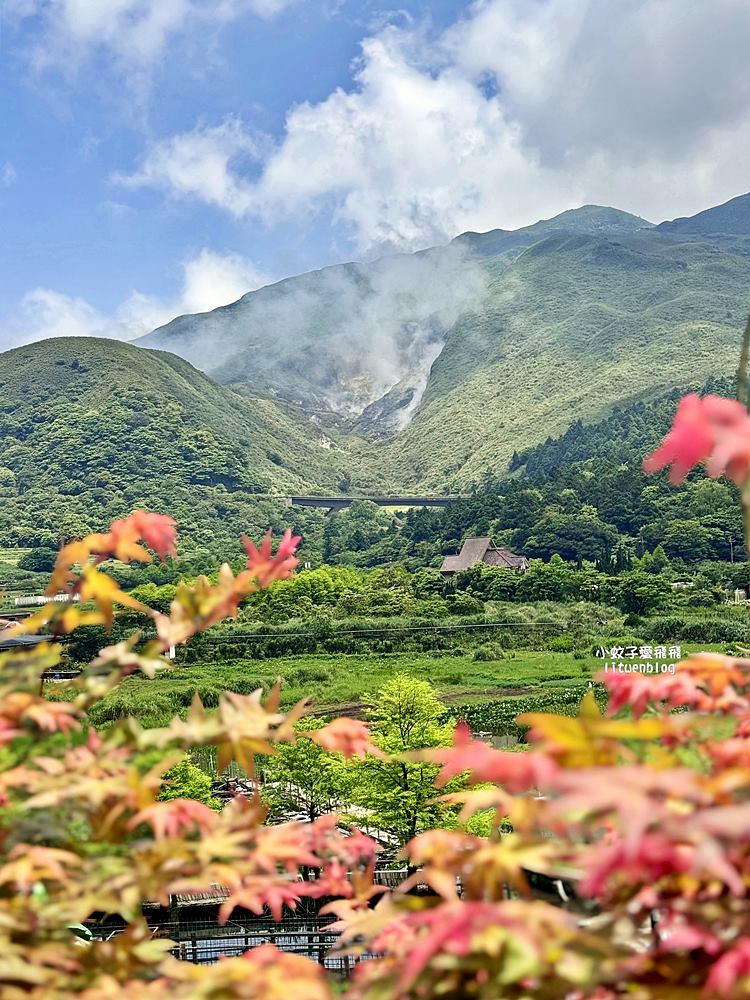 陽明山竹子湖「名陽匍休閒農莊」海芋紅楓繡球花小油坑，超夢幻的賞花基地