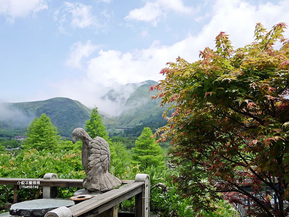 陽明山竹子湖「名陽匍休閒農莊」海芋紅楓繡球花小油坑，超夢幻的賞花基地
