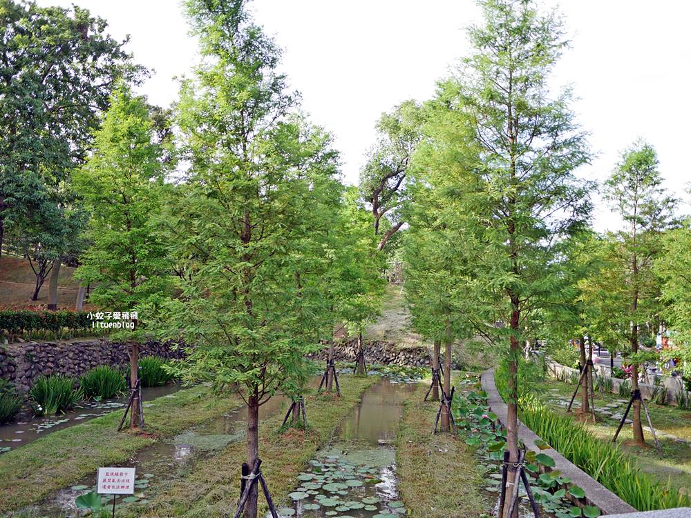 2026鶯歌永吉公園3D彩繪花廊步道、豐富兒童遊戲設施,炮仗花熱門景點,三鶯線永吉公園站 2026鶯歌永吉公園3D彩繪花廊步道、豐富兒童遊戲設施,炮仗花熱門景點,三鶯線永吉公園站
