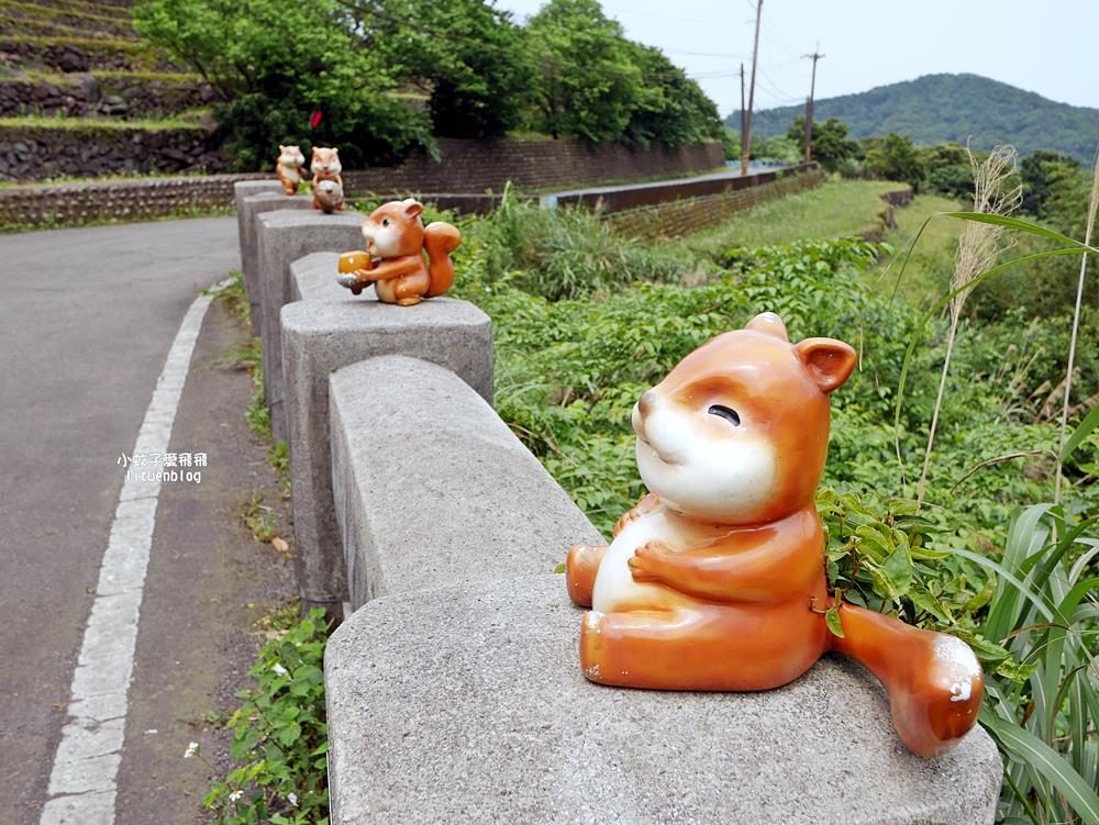 新北石門「嵩山百年梯田」壯麗百年水梯田風光賞限定花海 新北石門「嵩山百年梯田」壯麗百年水梯田風光賞限定花海