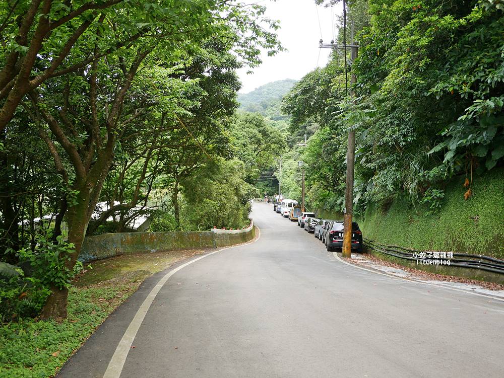 新北石門「嵩山百年梯田」壯麗百年水梯田風光賞限定花海 新北石門「嵩山百年梯田」壯麗百年水梯田風光賞限定花海
