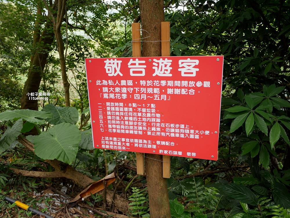 新北石門「嵩山百年梯田」壯麗百年水梯田風光賞限定花海 新北石門「嵩山百年梯田」壯麗百年水梯田風光賞限定花海