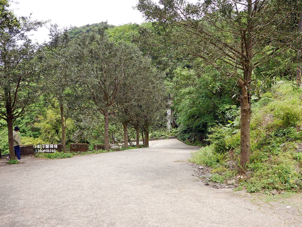 新北石門「嵩山百年梯田」壯麗百年水梯田風光賞限定花海 新北石門「嵩山百年梯田」壯麗百年水梯田風光賞限定花海