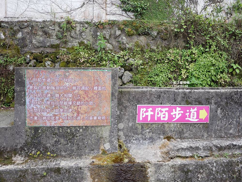 新北石門「嵩山百年梯田」壯麗百年水梯田風光賞限定花海 新北石門「嵩山百年梯田」壯麗百年水梯田風光賞限定花海