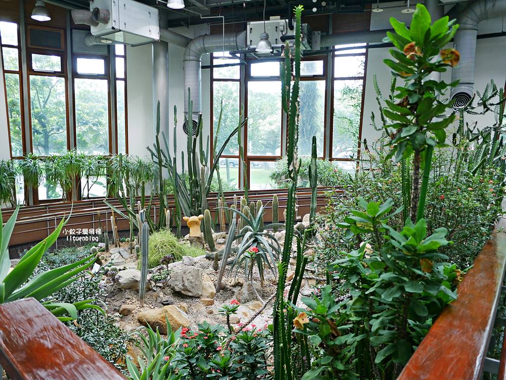 台北親子景點「臺北典藏植物園」六大主題展區&多肉植物溫室一秒走進叢林 台北親子景點「臺北典藏植物園」六大主題展區&多肉植物溫室一秒走進叢林