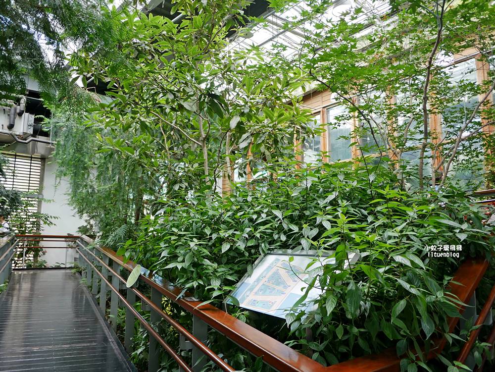 台北親子景點「臺北典藏植物園」六大主題展區&多肉植物溫室一秒走進叢林 台北親子景點「臺北典藏植物園」六大主題展區&多肉植物溫室一秒走進叢林