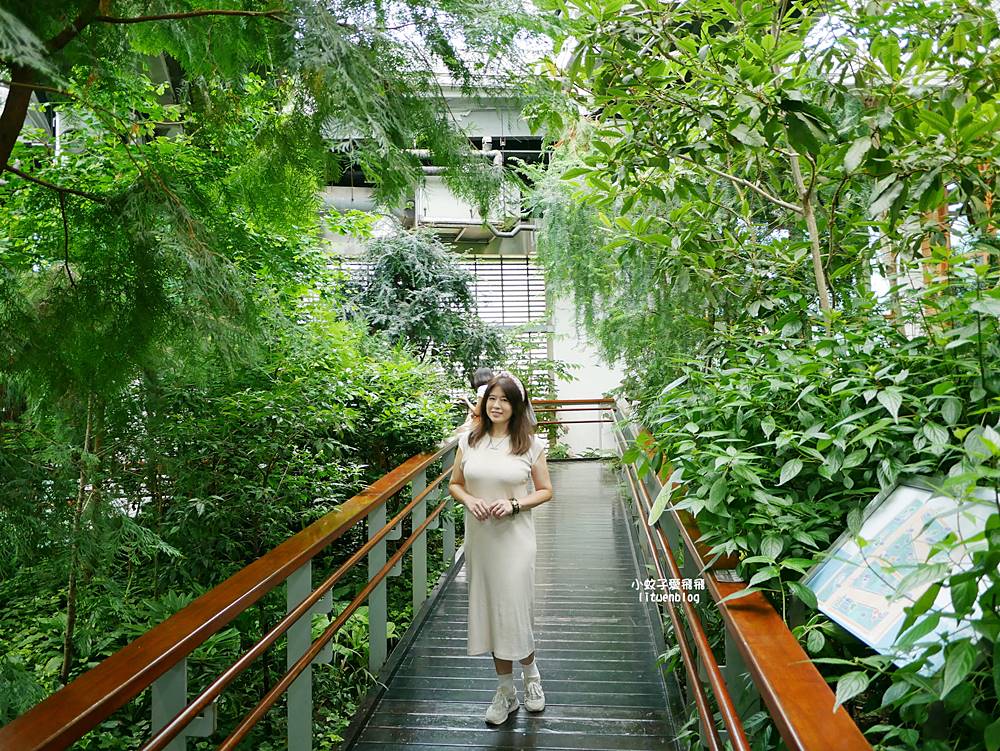 花博新生園區「天使生活館」咖啡甜點隱藏版莫內天井花園 花博新生園區「天使生活館」咖啡甜點隱藏版莫內天井花園