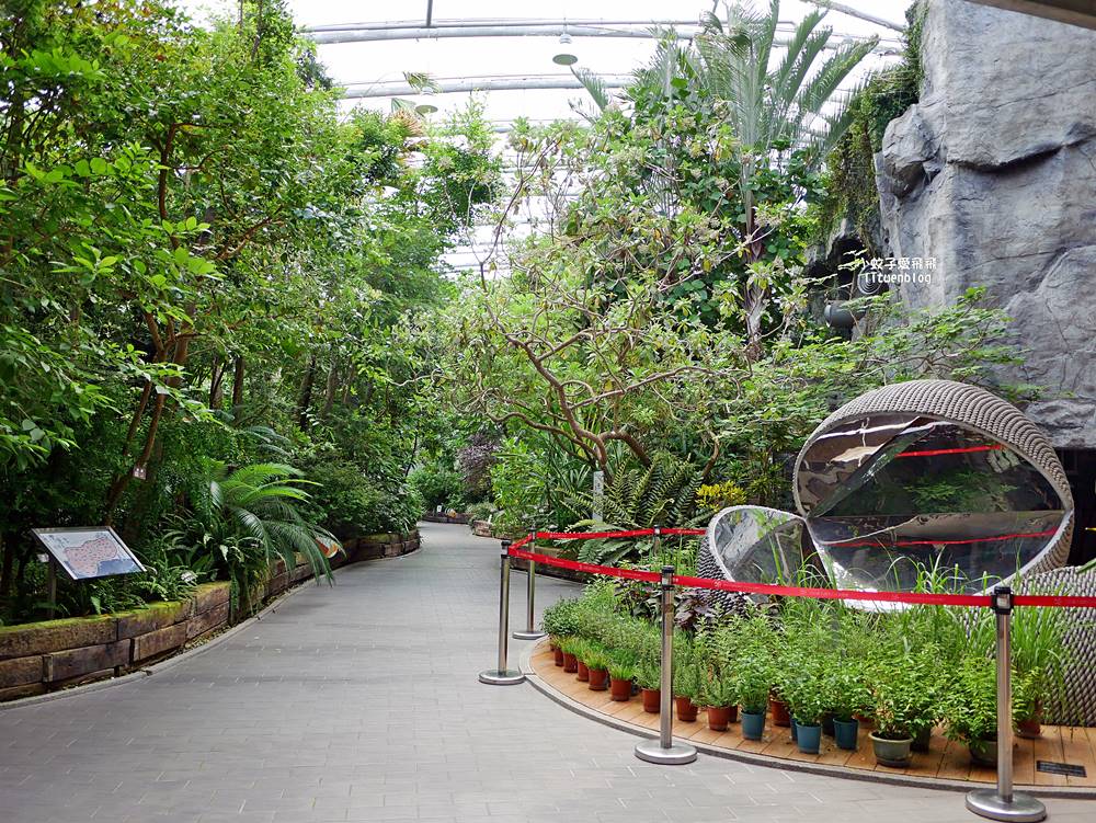 台北親子景點「臺北典藏植物園」六大主題展區&多肉植物溫室一秒走進叢林 台北親子景點「臺北典藏植物園」六大主題展區&多肉植物溫室一秒走進叢林