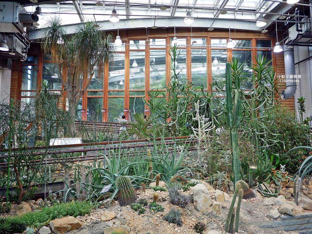 台北親子景點「臺北典藏植物園」六大主題展區&多肉植物溫室一秒走進叢林 @小蚊子愛飛飛 litwenblog