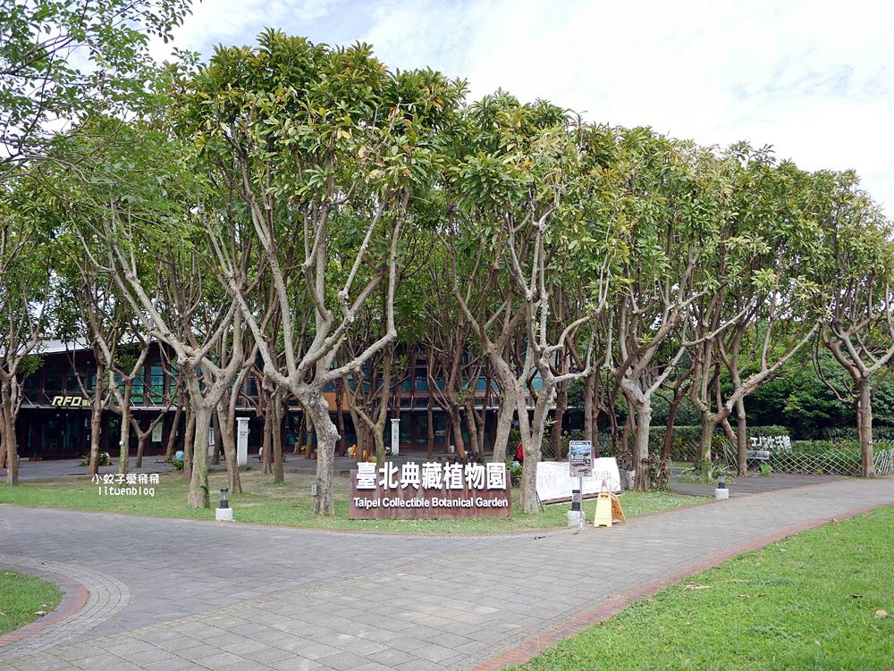 花博新生園區「天使生活館」咖啡甜點隱藏版莫內天井花園 花博新生園區「天使生活館」咖啡甜點隱藏版莫內天井花園