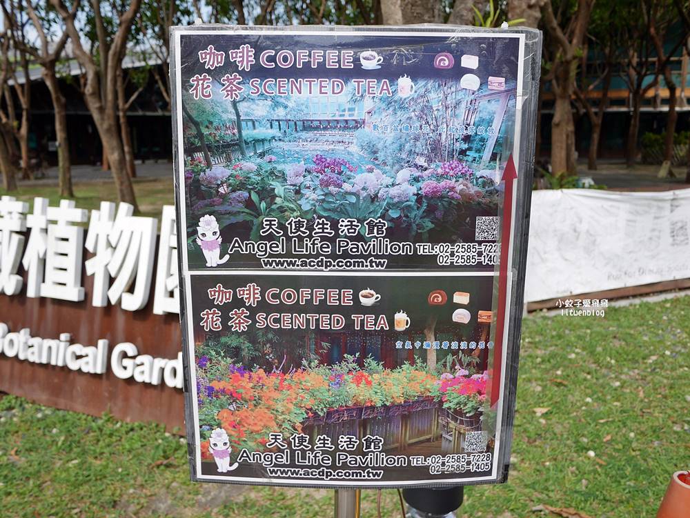 花博新生園區「天使生活館」咖啡甜點隱藏版莫內天井花園 花博新生園區「天使生活館」咖啡甜點隱藏版莫內天井花園