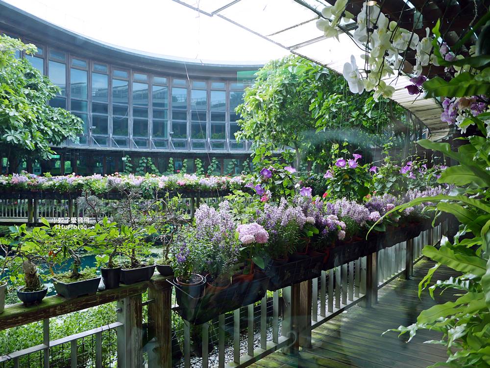 花博新生園區「天使生活館」咖啡甜點隱藏版莫內天井花園