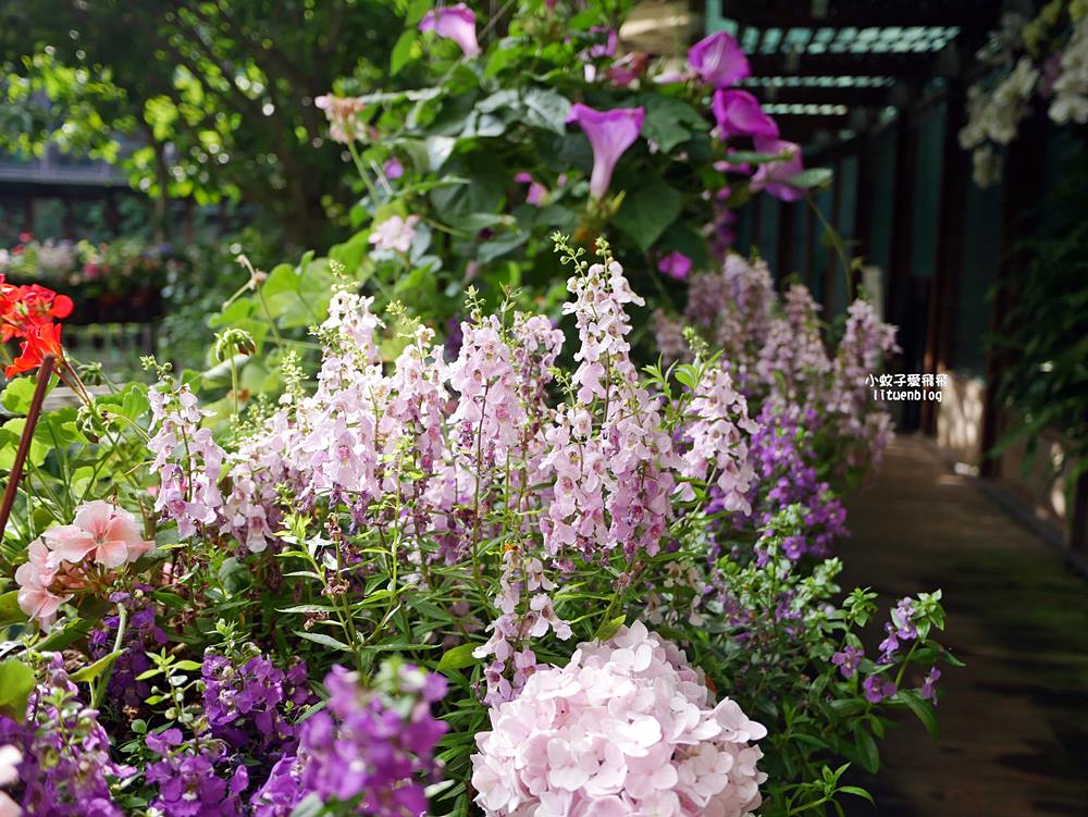 花博新生園區「天使生活館」咖啡甜點隱藏版莫內天井花園 花博新生園區「天使生活館」咖啡甜點隱藏版莫內天井花園