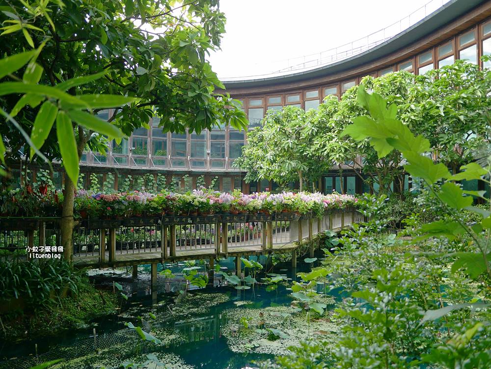花博新生園區「天使生活館」咖啡甜點隱藏版莫內天井花園 花博新生園區「天使生活館」咖啡甜點隱藏版莫內天井花園