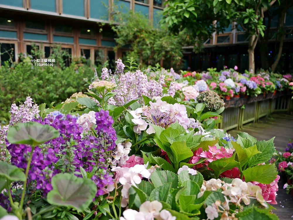 花博新生園區「天使生活館」咖啡甜點隱藏版莫內天井花園 花博新生園區「天使生活館」咖啡甜點隱藏版莫內天井花園