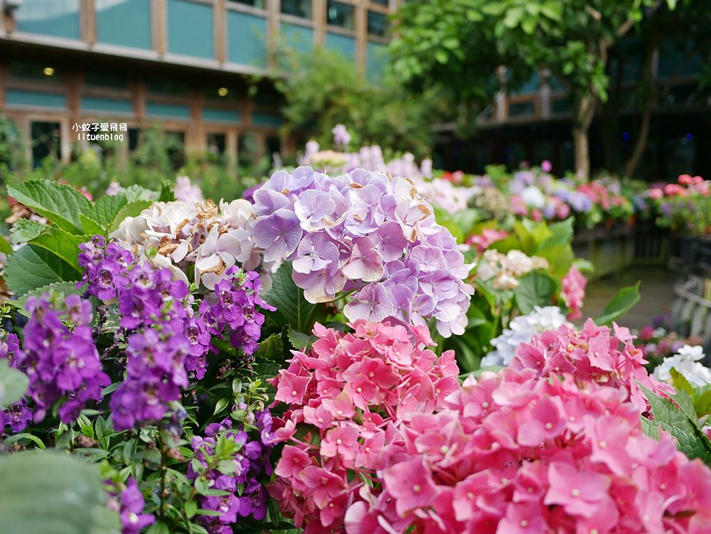 花博新生園區「天使生活館」咖啡甜點隱藏版莫內天井花園 花博新生園區「天使生活館」咖啡甜點隱藏版莫內天井花園