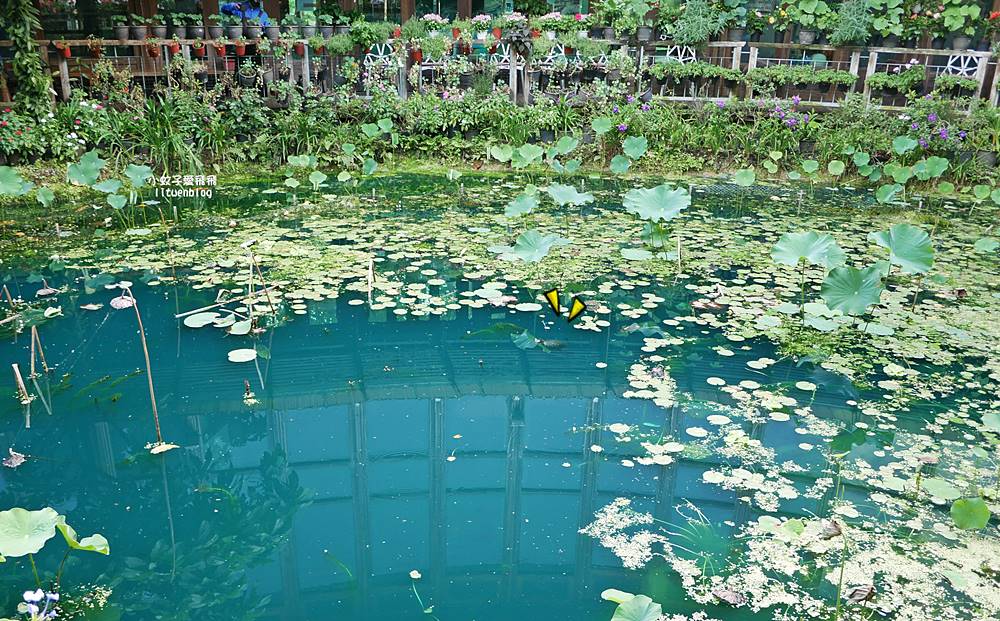 花博新生園區「天使生活館」咖啡甜點隱藏版莫內天井花園 花博新生園區「天使生活館」咖啡甜點隱藏版莫內天井花園