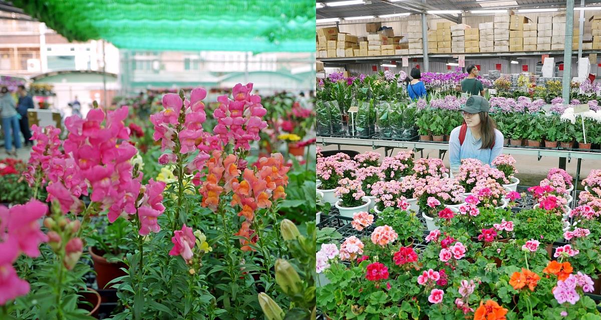 三峽景點「三峽花市」花卉園藝器具肥料品項多物美價廉，三鶯線長壽山站 @小蚊子愛飛飛 litwenblog