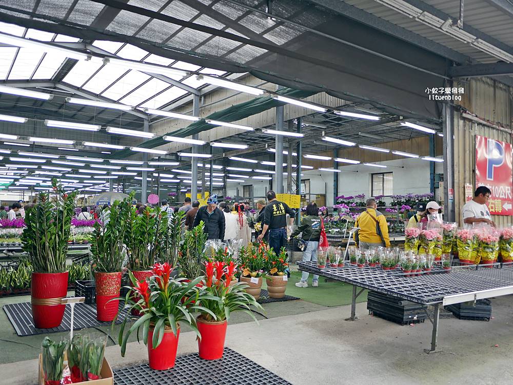 三峽景點「三峽花市」花卉園藝器具肥料品項多物美價廉，三鶯線長壽山站