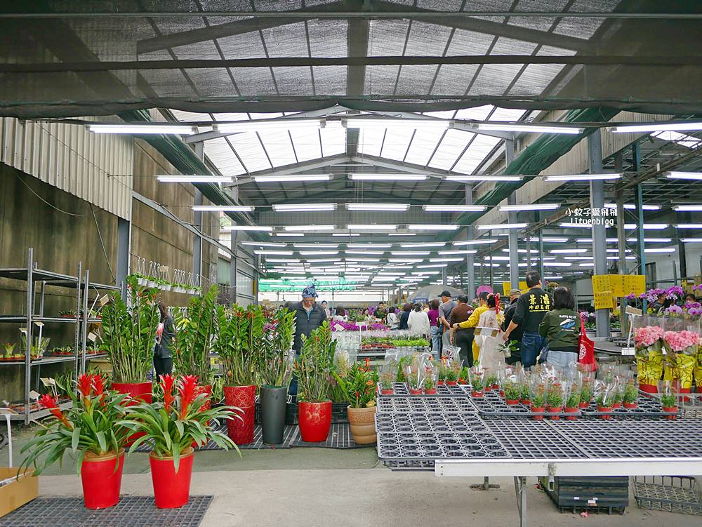 三峽景點「三峽花市」花卉園藝器具肥料品項多物美價廉，三鶯線長壽山站