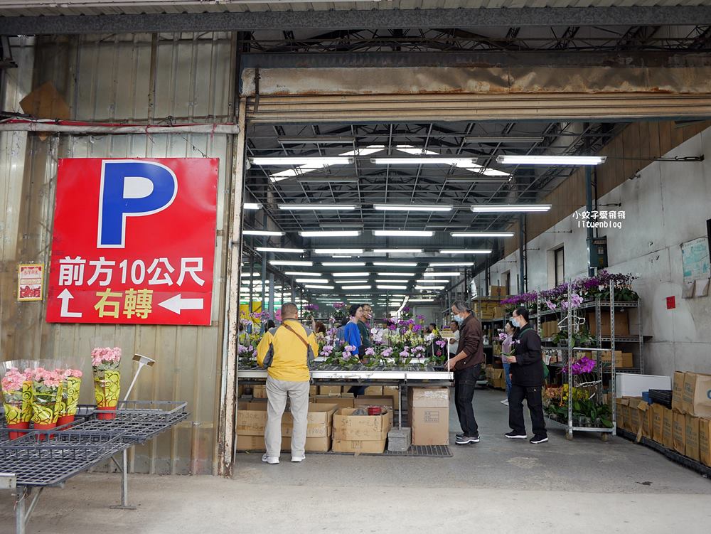 三峽景點「三峽花市」花卉園藝器具肥料品項多物美價廉，三鶯線長壽山站