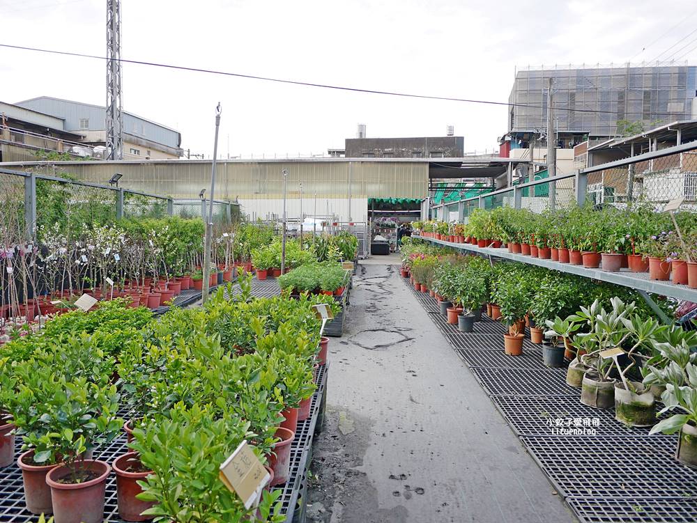 三峽景點「三峽花市」花卉園藝器具肥料品項多物美價廉，三鶯線長壽山站