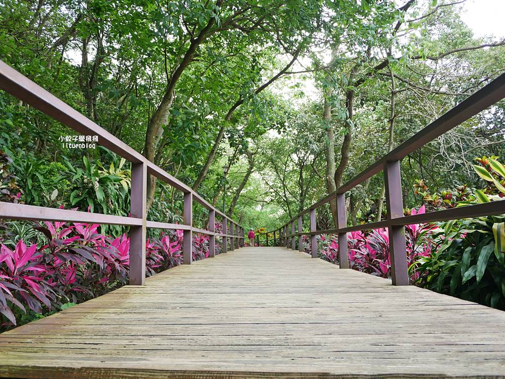 台北101景觀「福州山公園」麟光站輕鬆攻頂攻略，媲美象山視野