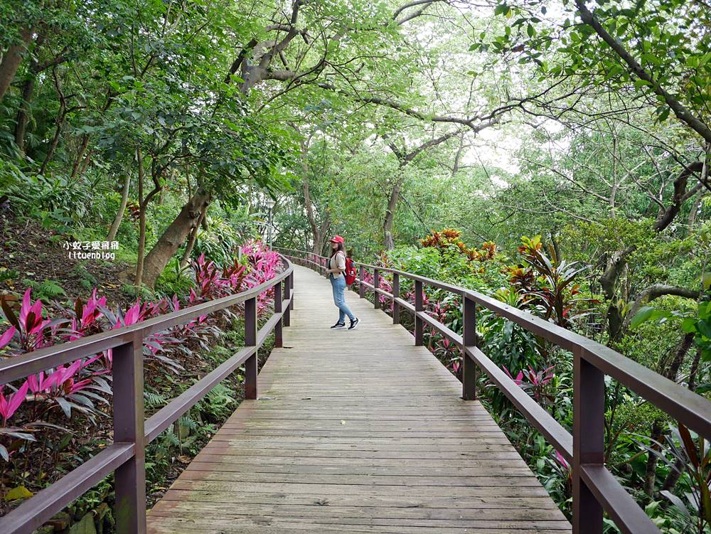 台北101景觀「福州山公園」麟光站輕鬆攻頂攻略，媲美象山視野