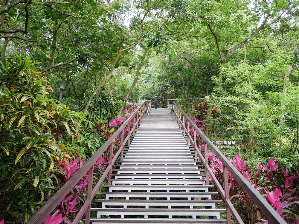 台北101景觀「福州山公園」麟光站輕鬆攻頂攻略，媲美象山視野