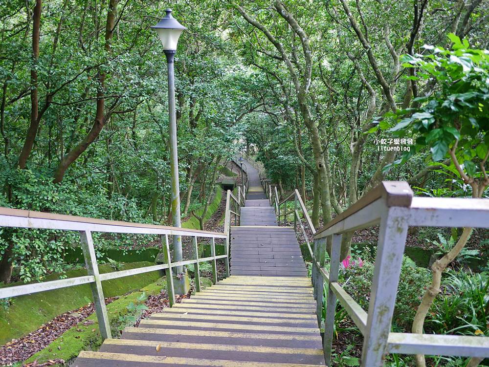 台北101景觀「福州山公園」麟光站輕鬆攻頂攻略，媲美象山視野