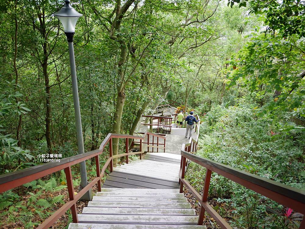 台北101景觀「福州山公園」麟光站輕鬆攻頂攻略，媲美象山視野