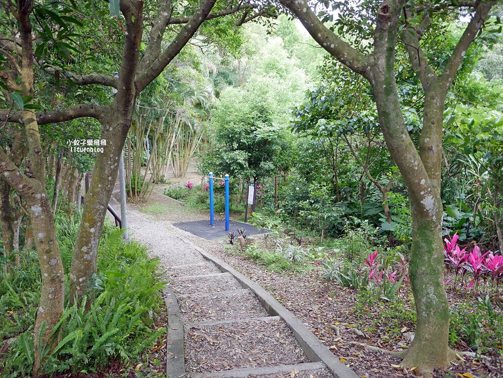 台北101景觀「福州山公園」麟光站輕鬆攻頂攻略，媲美象山視野