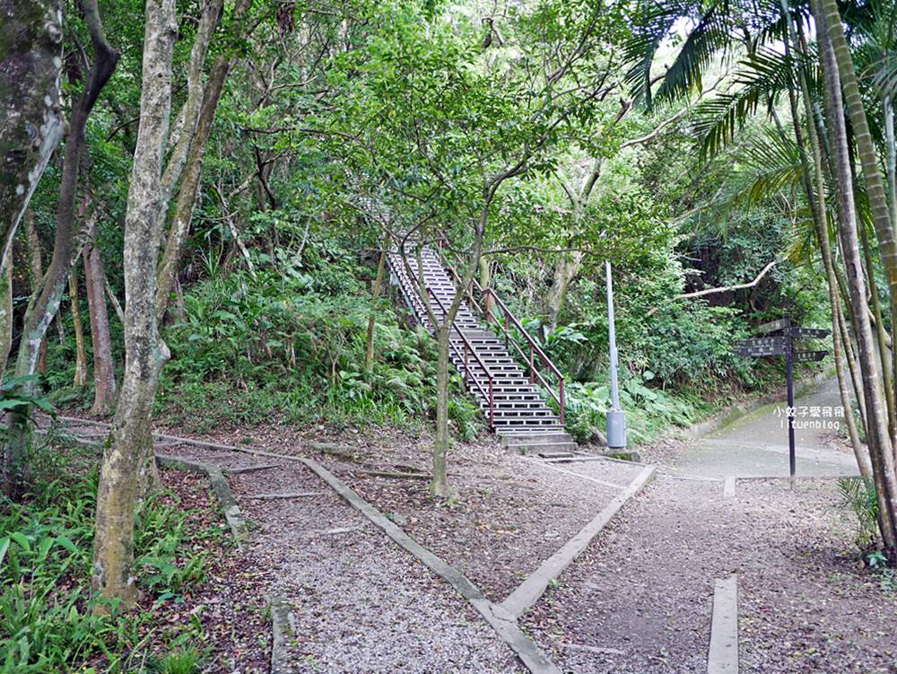 台北101景觀「福州山公園」麟光站輕鬆攻頂攻略，媲美象山視野