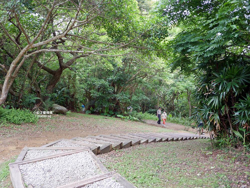台北101景觀「福州山公園」麟光站輕鬆攻頂攻略，媲美象山視野