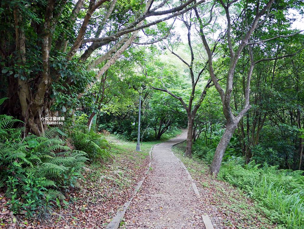 台北101景觀「福州山公園」麟光站輕鬆攻頂攻略，媲美象山視野