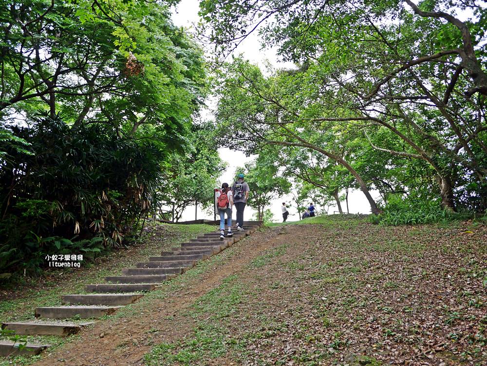 台北101景觀「福州山公園」麟光站輕鬆攻頂攻略，媲美象山視野