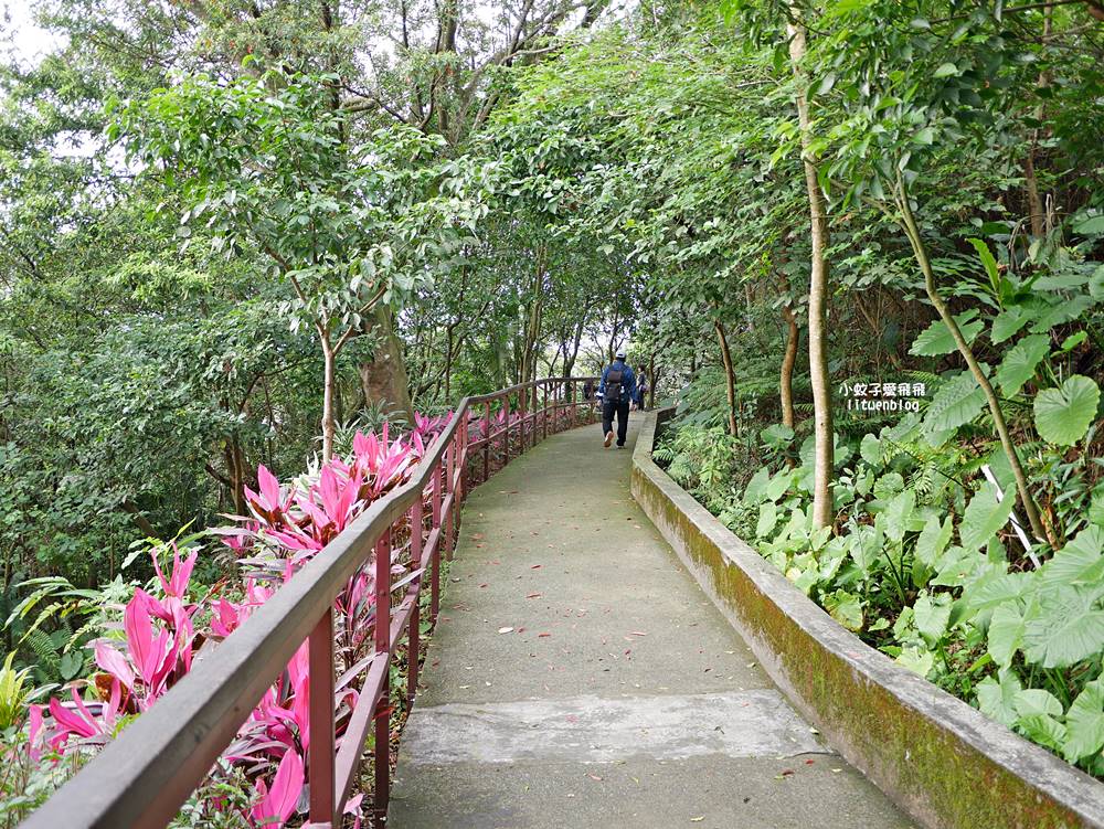 台北101景觀「福州山公園」麟光站輕鬆攻頂攻略，媲美象山視野