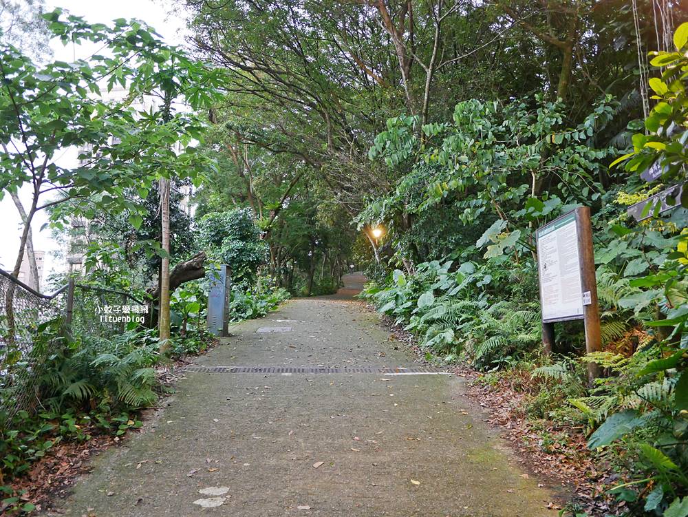 台北101景觀「福州山公園」麟光站輕鬆攻頂攻略，媲美象山視野