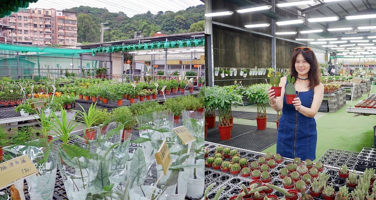 即時熱門文章：三峽景點「三峽花市」花卉園藝器具肥料品項多物美價廉，就在三鶯線長壽山站旁